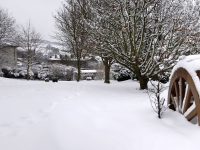 snow-ollie-wheel